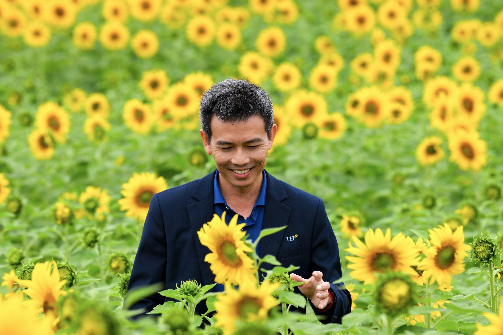 C&aacute;nh đồng hướng dương tại miền T&acirc;y Nghệ An: Toạ độ check-in b&ugrave;ng nổ cho hội chị em những ng&agrave;y cuối năm- Ảnh 7.