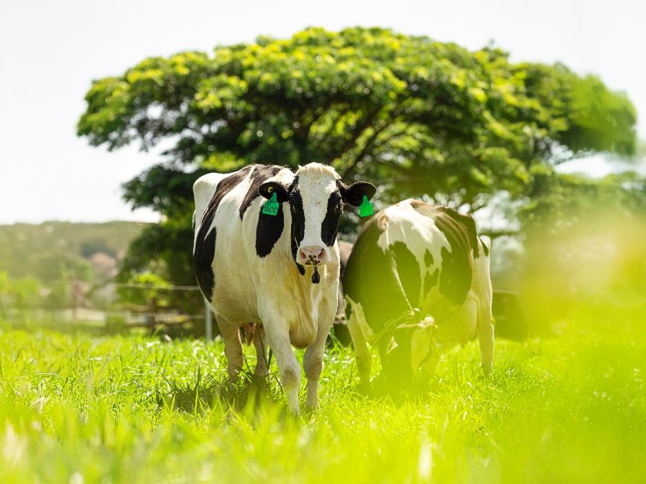 PR5_Vinamilk_GF_A2_Afamily_Anh_2_trong_bai_76895684-3f51-44ad-9953-d7e778823dd9