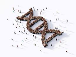 Bất ngờ: Gen không tạo ra sự khác biệt lớn nhất của con người - không có 