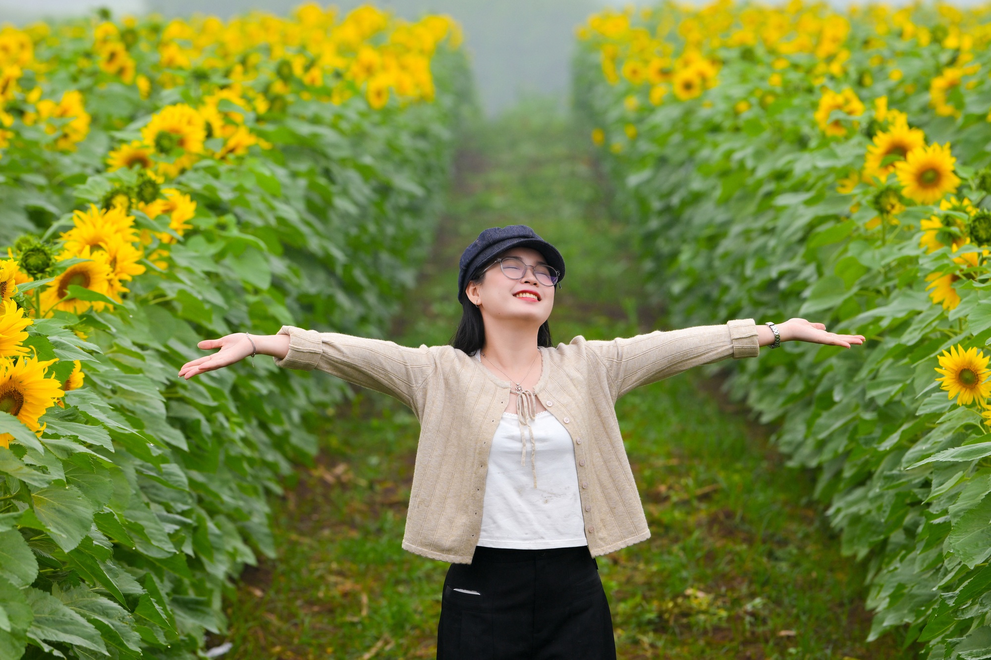 Chuyến đi để "sống chậm" giữa m&ugrave;a hoa hướng dương đẹp nhất- Ảnh 3.