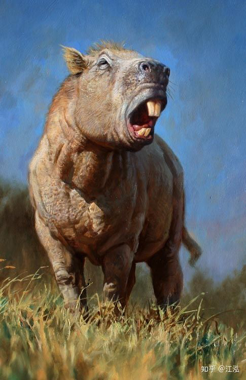 Lo&agrave;i chuột khổng lồ nặng 1 tấn, d&agrave;i 3 m&eacute;t, to ngang con tr&acirc;u mộng- Ảnh 3.