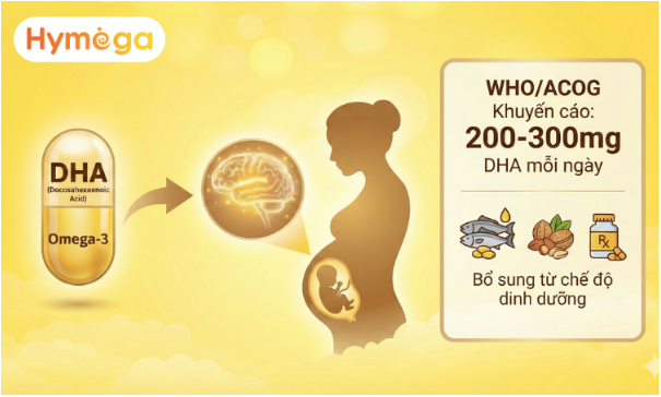 Giải m&atilde; b&iacute; mật về DHA nhiều mẹ bầu chưa biết - Ảnh 2.