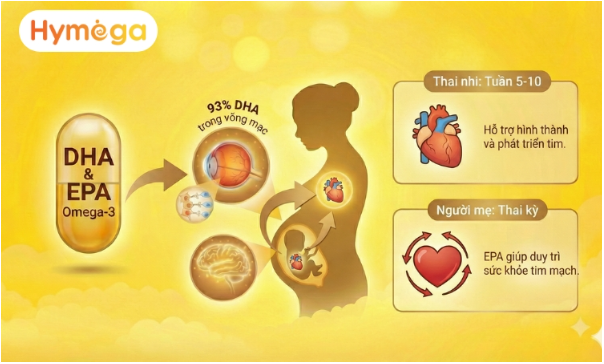 Giải m&atilde; b&iacute; mật về DHA nhiều mẹ bầu chưa biết - Ảnh 4.