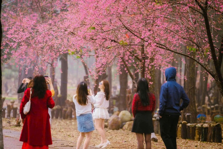 Rộn r&agrave;ng chuỗi lễ hội ch&agrave;o năm mới 2026 tại miền Trung- Ảnh 2.