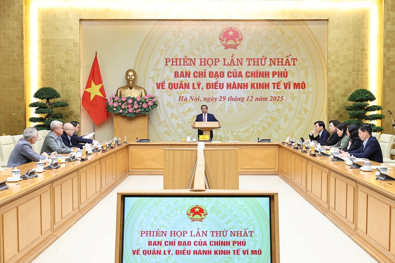 Thủ tướng chủ tr&igrave; phi&ecirc;n họp thứ nhất Ban Chỉ đạo quản l&yacute;, điều h&agrave;nh kinh tế vĩ m&ocirc;- Ảnh 1.
