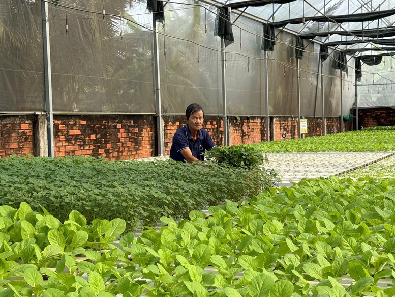 C&ocirc;ng nghệ tưới tiết kiệm nước giải ph&oacute;ng sức lao động cho n&ocirc;ng d&acirc;n- Ảnh 1.