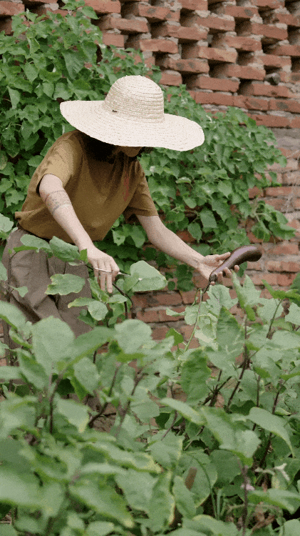 Hai người phụ nữ 40  bỏ phố về qu&ecirc;: Chi 400 triệu cải tạo nh&agrave; cũ, tạo m&ocirc; h&igrave;nh sống - l&agrave;m - nghỉ bền vững v&agrave; tự chủ t&agrave;i ch&iacute;nh- Ảnh 8.