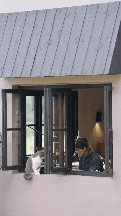 Hai người phụ nữ 40  bỏ phố về qu&ecirc;: Chi 400 triệu cải tạo nh&agrave; cũ, tạo m&ocirc; h&igrave;nh sống - l&agrave;m - nghỉ bền vững v&agrave; tự chủ t&agrave;i ch&iacute;nh- Ảnh 6.