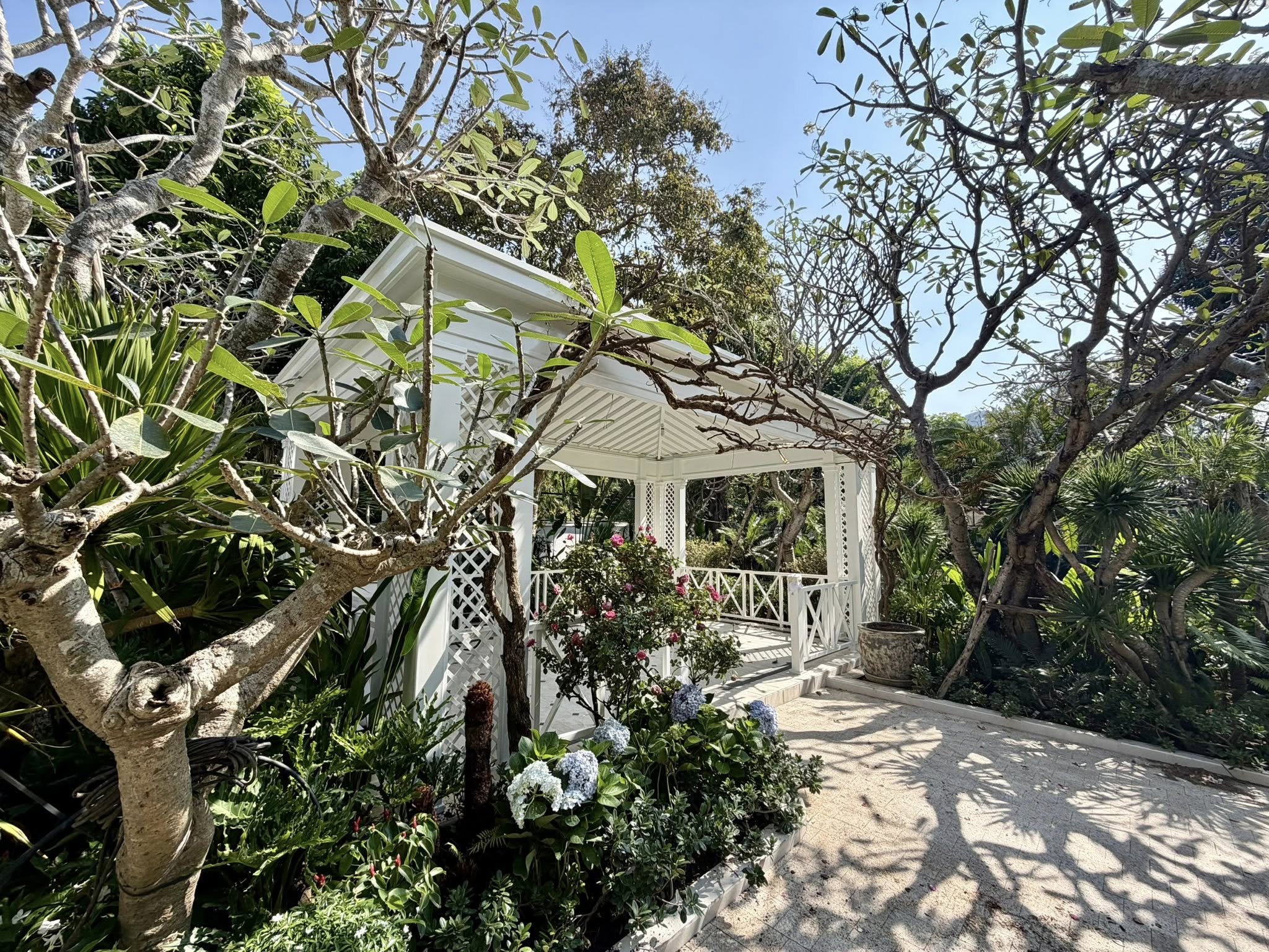 Nh&acirc;n vật đ&igrave;nh đ&aacute;m showbiz khoe biệt thự 2000m2 ở TP.HCM khi bị đồn ngh&egrave;o, phải livestream mưu sinh- Ảnh 2.