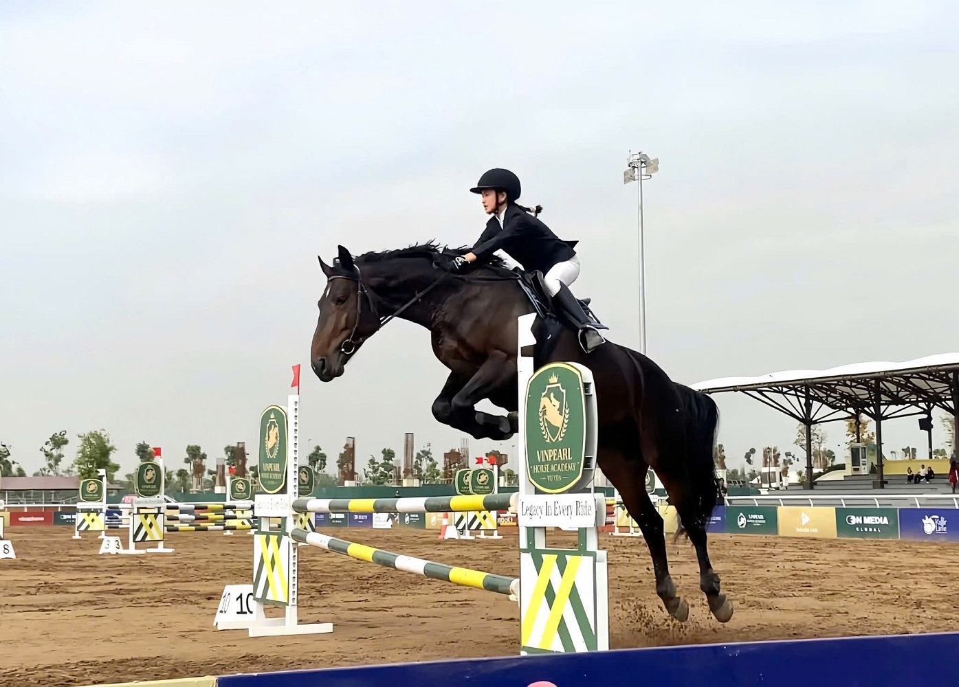 Vinpearl Equestrian Cup 2025: Bước đột ph&aacute; của thể thao cưỡi ngựa Việt Nam- Ảnh 1.