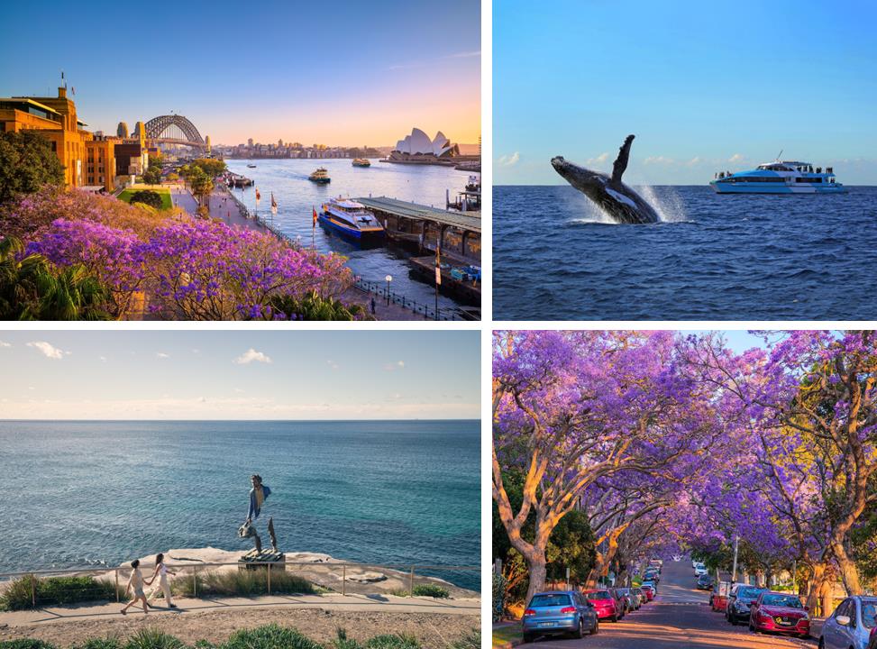 7 trải nghiệm n&ecirc;n thử ở Sydney khiến du kh&aacute;ch Việt say l&ograve;ng- Ảnh 4.