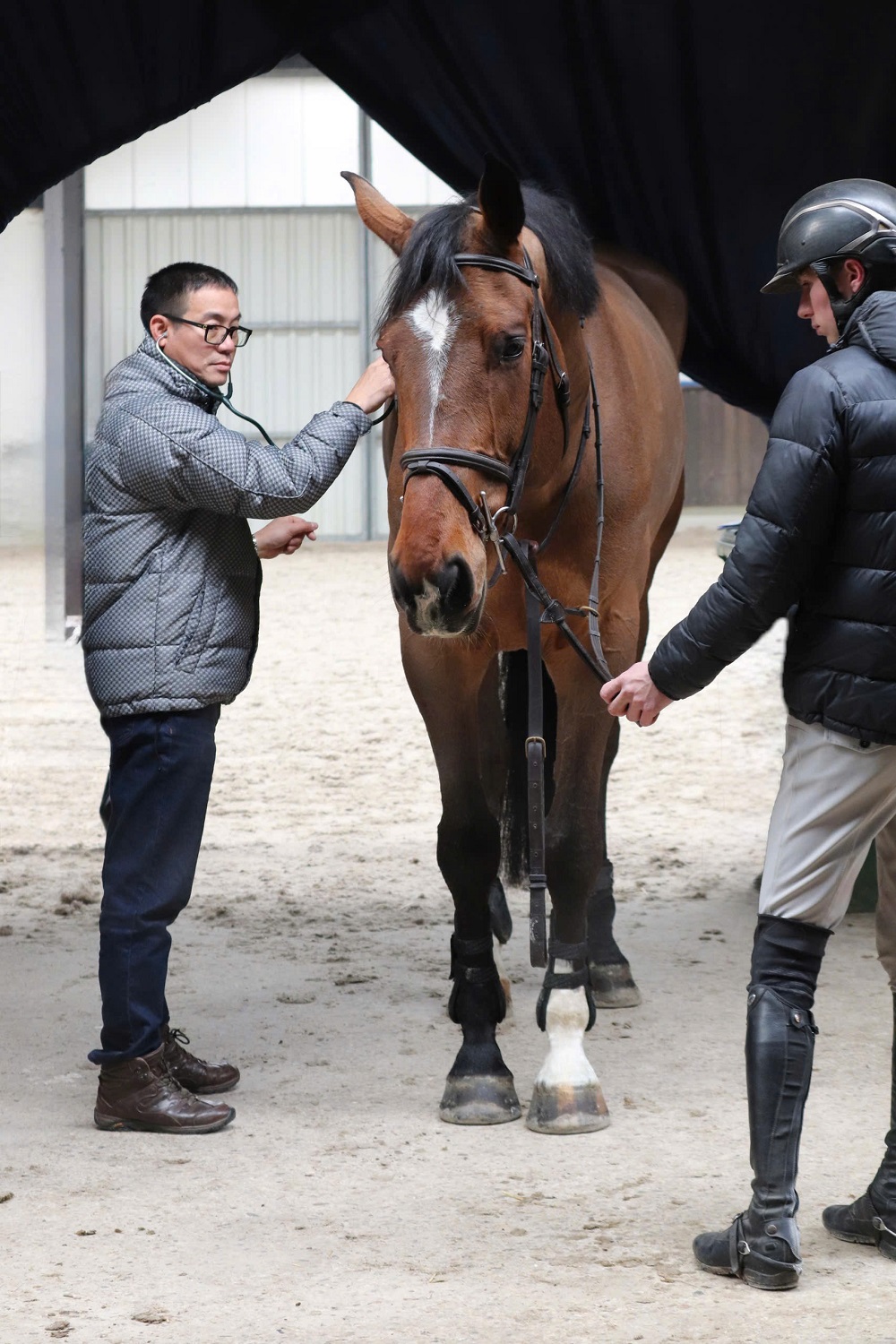 Vinpearl Equestrian Cup 2025: Bước đột ph&aacute; của thể thao cưỡi ngựa Việt Nam- Ảnh 6.