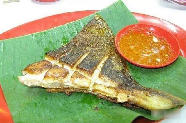 6 loài cá ăn được "nguy hiểm nhất thế giới", có tiền chưa chắc đã được ăn!- Ảnh 3. 6 loài cá ăn được "nguy hiểm nhất thế giới", có tiền chưa chắc đã được ăn!- Ảnh 3.