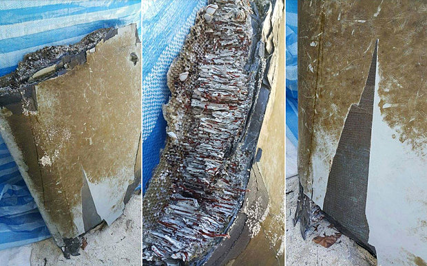 Máy bay MH370 chưa từng bị rơi?- Ảnh 3.