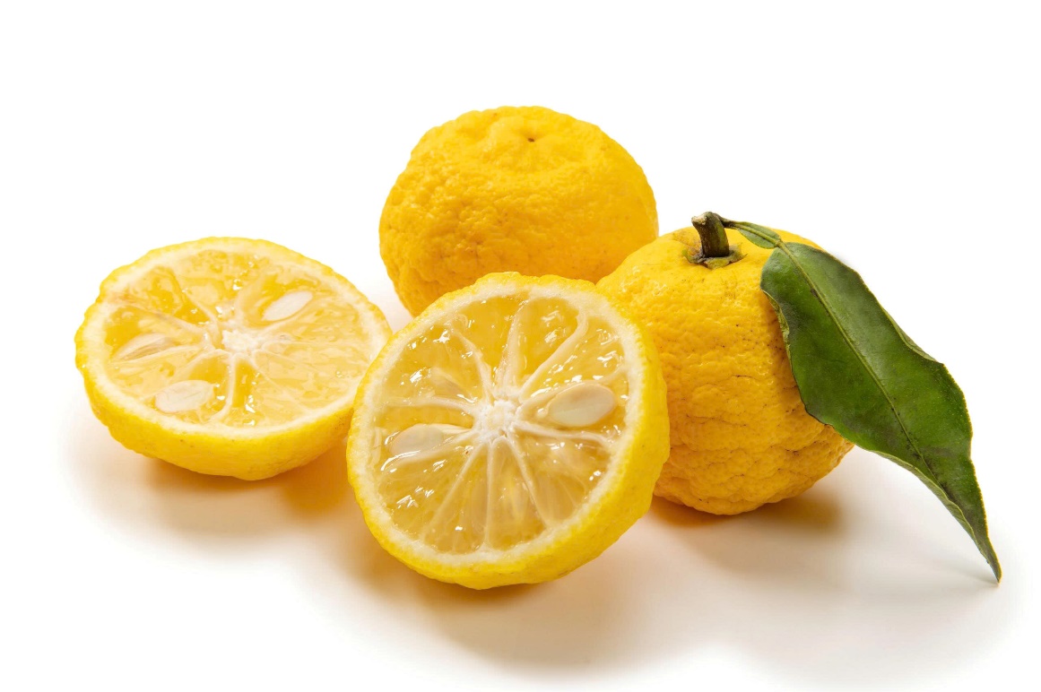 Trà Mật Ong BONCHA Chanh Nhật Yuzu mới ra mắt báo hiệu xu hướng đồ uống mới- Ảnh 1.