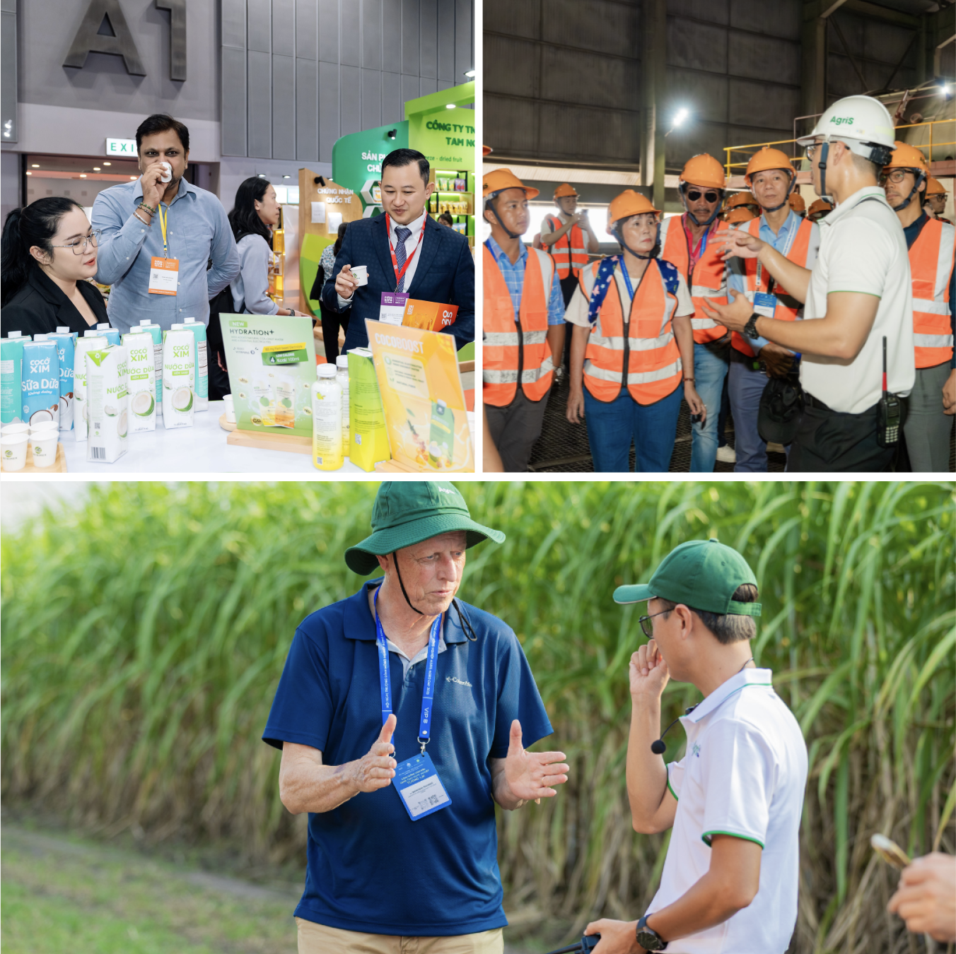 AgriS (SBT) tr&igrave;nh l&agrave;ng chiến lược tăng trưởng mới 2025-2030 tại Đại hội đồng Cổ đ&ocirc;ng- Ảnh 3.