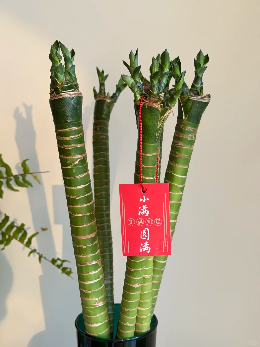 Chưng Tết đừng chỉ mua hoa: C&oacute; một loại c&acirc;y "rẻ b&egrave;o" nhưng h&uacute;t t&agrave;i lộc cực mạnh, đặt đ&uacute;ng 4 c&agrave;nh l&ecirc;n b&agrave;n học con c&aacute;i thi cử đỗ đạt, gia chủ tiền v&agrave;o như nước- Ảnh 35.