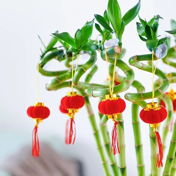 Chưng Tết đừng chỉ mua hoa: C&oacute; một loại c&acirc;y "rẻ b&egrave;o" nhưng h&uacute;t t&agrave;i lộc cực mạnh, đặt đ&uacute;ng 4 c&agrave;nh l&ecirc;n b&agrave;n học con c&aacute;i thi cử đỗ đạt, gia chủ tiền v&agrave;o như nước- Ảnh 43.