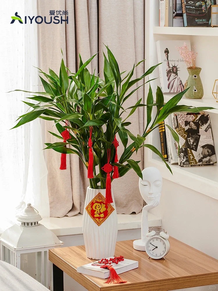 Chưng Tết đừng chỉ mua hoa: C&oacute; một loại c&acirc;y "rẻ b&egrave;o" nhưng h&uacute;t t&agrave;i lộc cực mạnh, đặt đ&uacute;ng 4 c&agrave;nh l&ecirc;n b&agrave;n học con c&aacute;i thi cử đỗ đạt, gia chủ tiền v&agrave;o như nước- Ảnh 42.