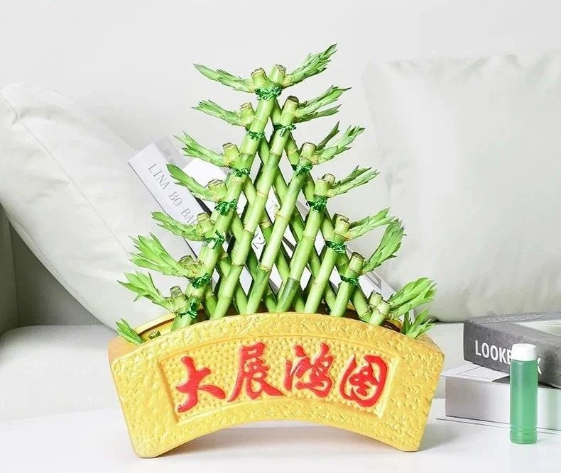 Chưng Tết đừng chỉ mua hoa: C&oacute; một loại c&acirc;y "rẻ b&egrave;o" nhưng h&uacute;t t&agrave;i lộc cực mạnh, đặt đ&uacute;ng 4 c&agrave;nh l&ecirc;n b&agrave;n học con c&aacute;i thi cử đỗ đạt, gia chủ tiền v&agrave;o như nước- Ảnh 40.