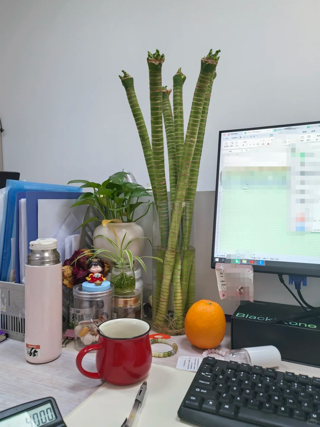 Chưng Tết đừng chỉ mua hoa: C&oacute; một loại c&acirc;y "rẻ b&egrave;o" nhưng h&uacute;t t&agrave;i lộc cực mạnh, đặt đ&uacute;ng 4 c&agrave;nh l&ecirc;n b&agrave;n học con c&aacute;i thi cử đỗ đạt, gia chủ tiền v&agrave;o như nước- Ảnh 26.