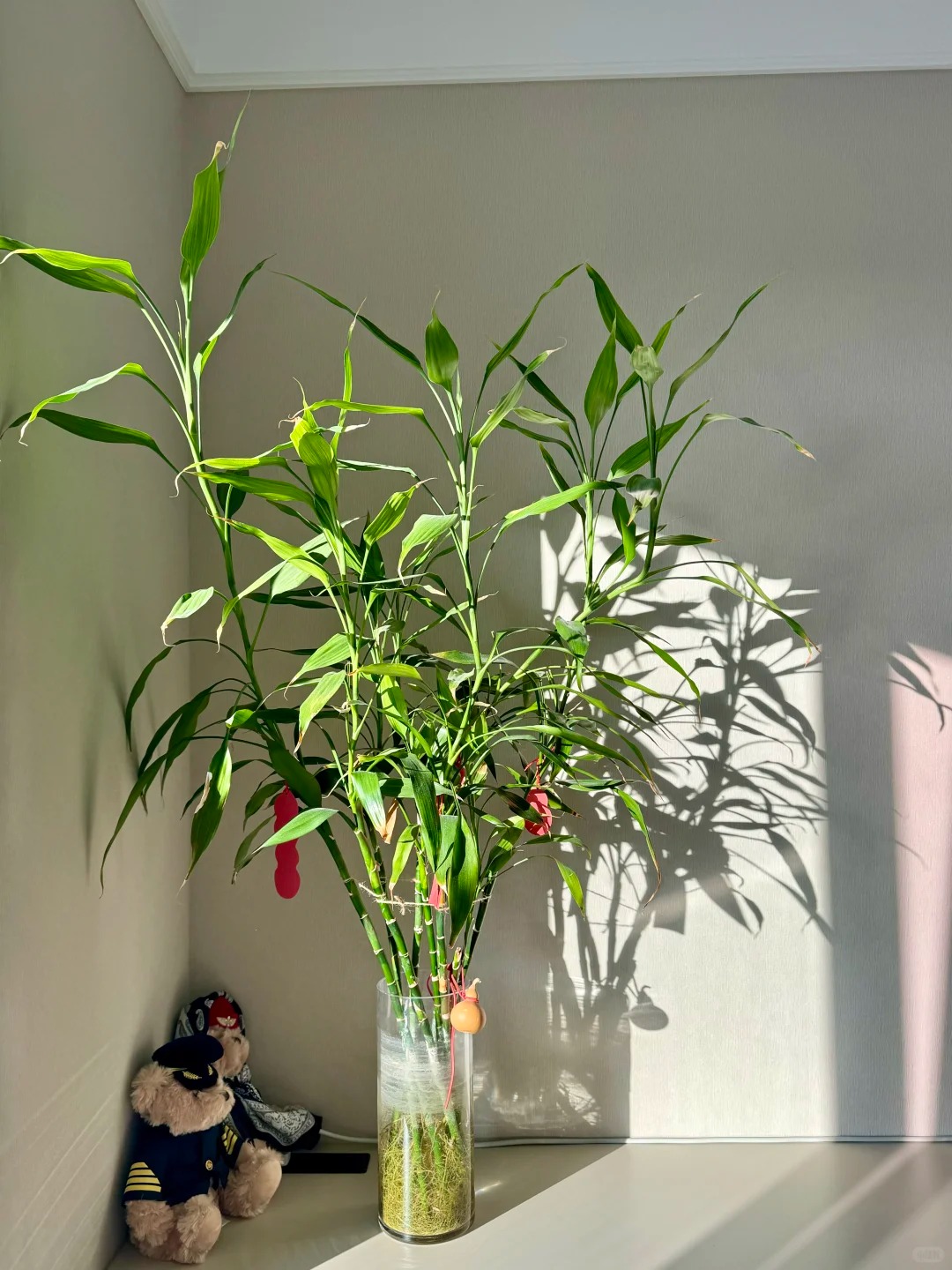 Chưng Tết đừng chỉ mua hoa: C&oacute; một loại c&acirc;y "rẻ b&egrave;o" nhưng h&uacute;t t&agrave;i lộc cực mạnh, đặt đ&uacute;ng 4 c&agrave;nh l&ecirc;n b&agrave;n học con c&aacute;i thi cử đỗ đạt, gia chủ tiền v&agrave;o như nước- Ảnh 15.