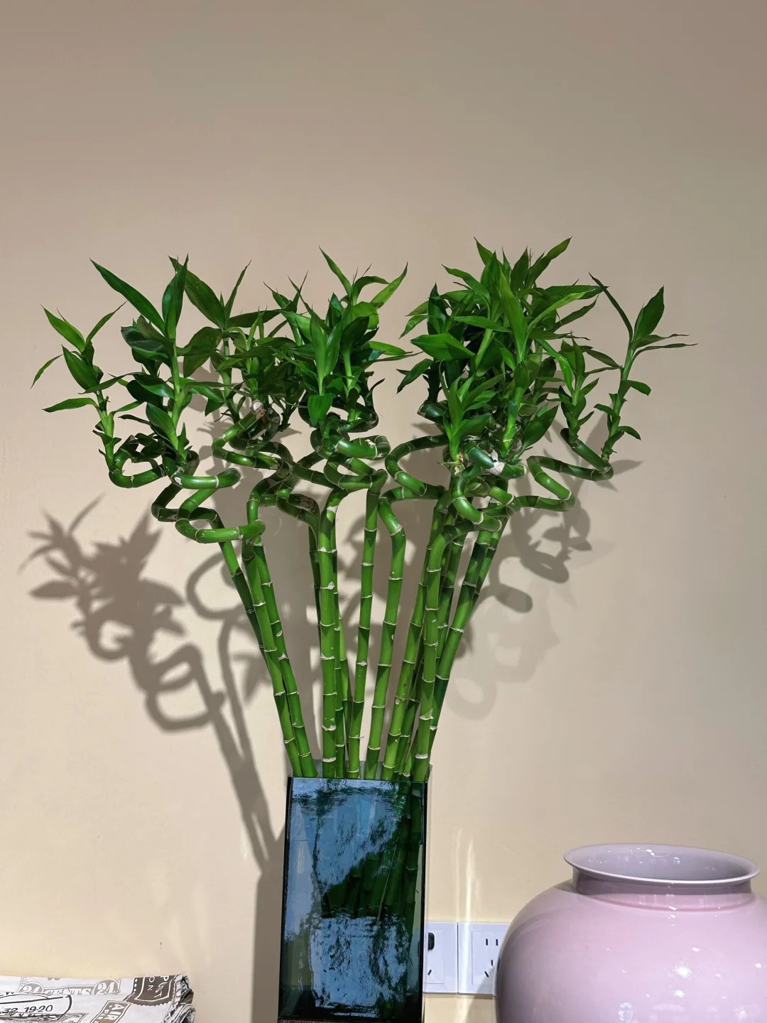 Chưng Tết đừng chỉ mua hoa: C&oacute; một loại c&acirc;y "rẻ b&egrave;o" nhưng h&uacute;t t&agrave;i lộc cực mạnh, đặt đ&uacute;ng 4 c&agrave;nh l&ecirc;n b&agrave;n học con c&aacute;i thi cử đỗ đạt, gia chủ tiền v&agrave;o như nước- Ảnh 14.