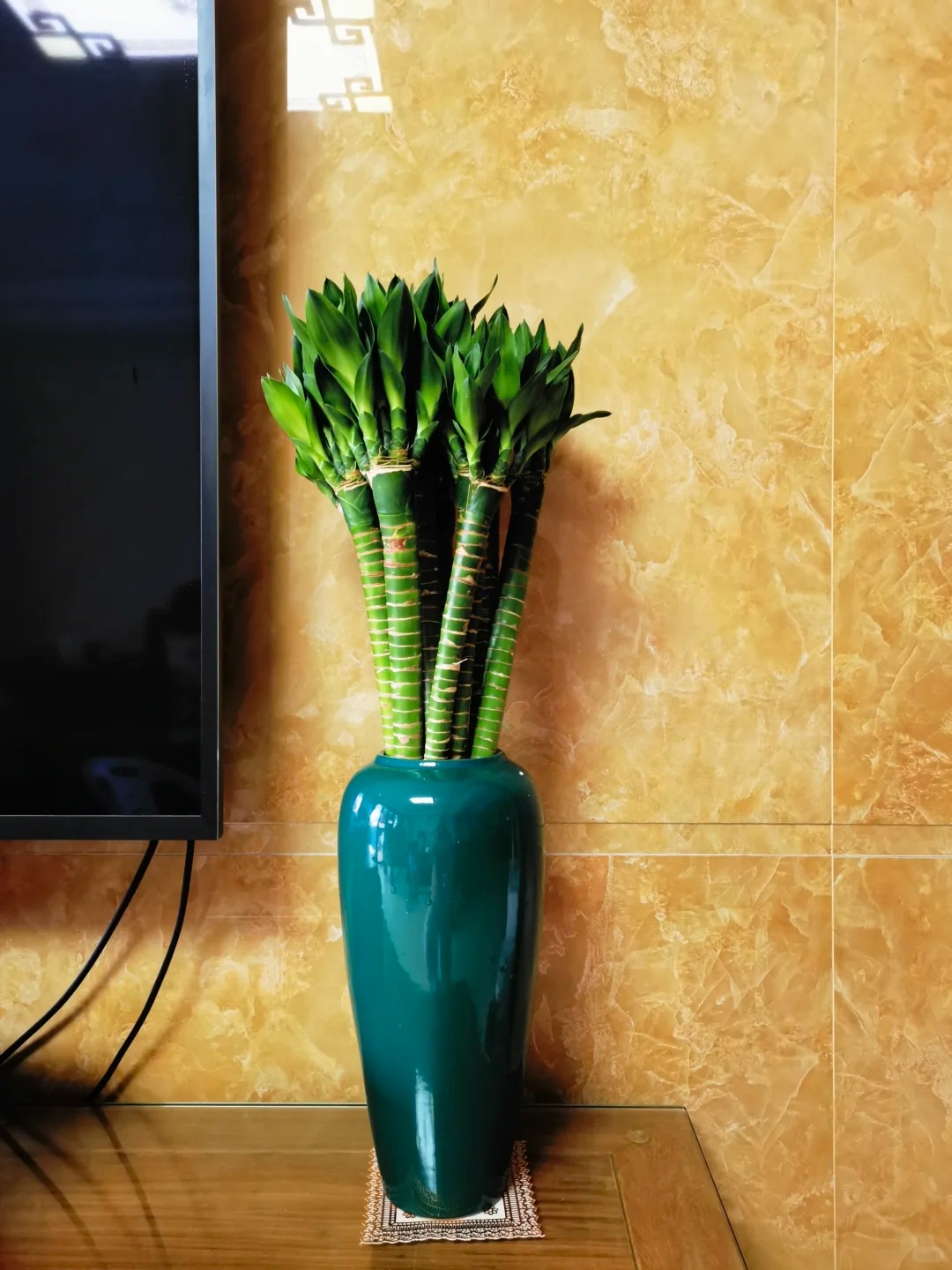 Chưng Tết đừng chỉ mua hoa: C&oacute; một loại c&acirc;y "rẻ b&egrave;o" nhưng h&uacute;t t&agrave;i lộc cực mạnh, đặt đ&uacute;ng 4 c&agrave;nh l&ecirc;n b&agrave;n học con c&aacute;i thi cử đỗ đạt, gia chủ tiền v&agrave;o như nước- Ảnh 4.