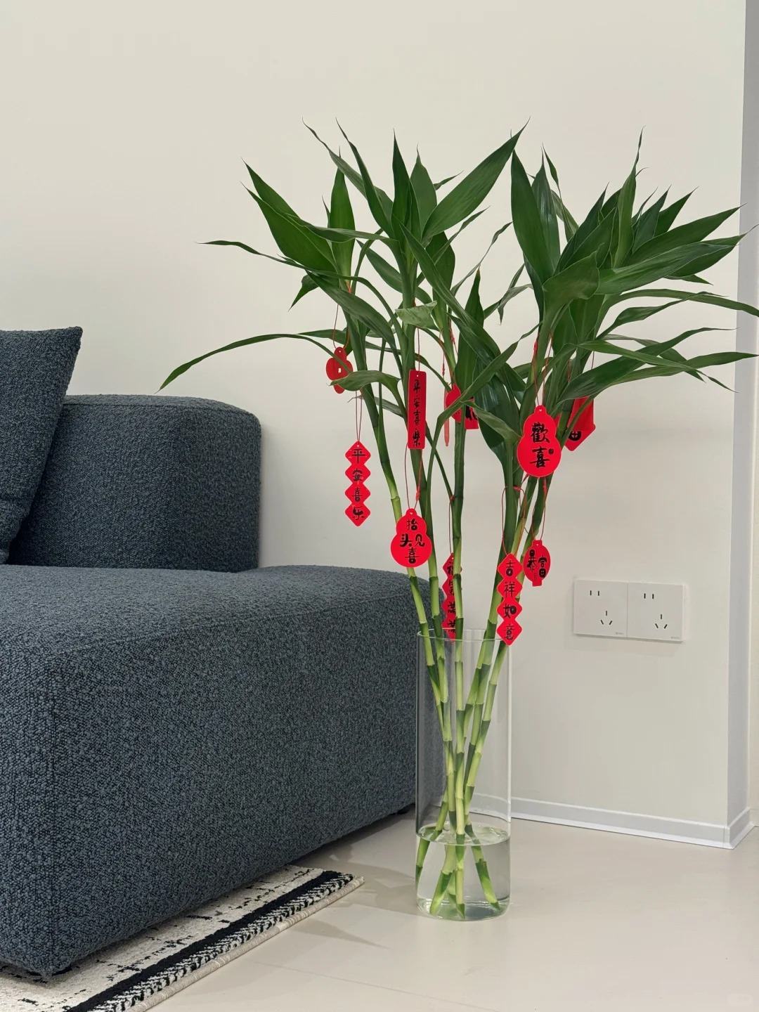 Chưng Tết đừng chỉ mua hoa: C&oacute; một loại c&acirc;y "rẻ b&egrave;o" nhưng h&uacute;t t&agrave;i lộc cực mạnh, đặt đ&uacute;ng 4 c&agrave;nh l&ecirc;n b&agrave;n học con c&aacute;i thi cử đỗ đạt, gia chủ tiền v&agrave;o như nước- Ảnh 25.