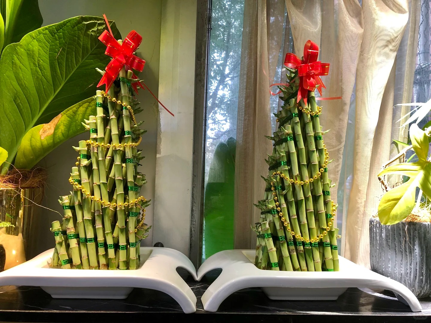 Chưng Tết đừng chỉ mua hoa: C&oacute; một loại c&acirc;y "rẻ b&egrave;o" nhưng h&uacute;t t&agrave;i lộc cực mạnh, đặt đ&uacute;ng 4 c&agrave;nh l&ecirc;n b&agrave;n học con c&aacute;i thi cử đỗ đạt, gia chủ tiền v&agrave;o như nước- Ảnh 6.