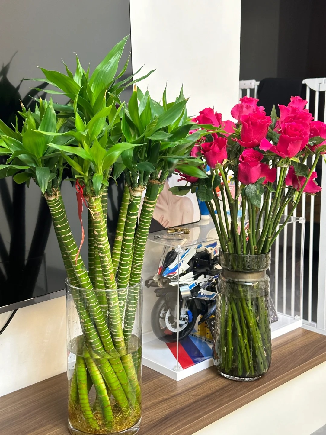 Chưng Tết đừng chỉ mua hoa: C&oacute; một loại c&acirc;y "rẻ b&egrave;o" nhưng h&uacute;t t&agrave;i lộc cực mạnh, đặt đ&uacute;ng 4 c&agrave;nh l&ecirc;n b&agrave;n học con c&aacute;i thi cử đỗ đạt, gia chủ tiền v&agrave;o như nước- Ảnh 12.