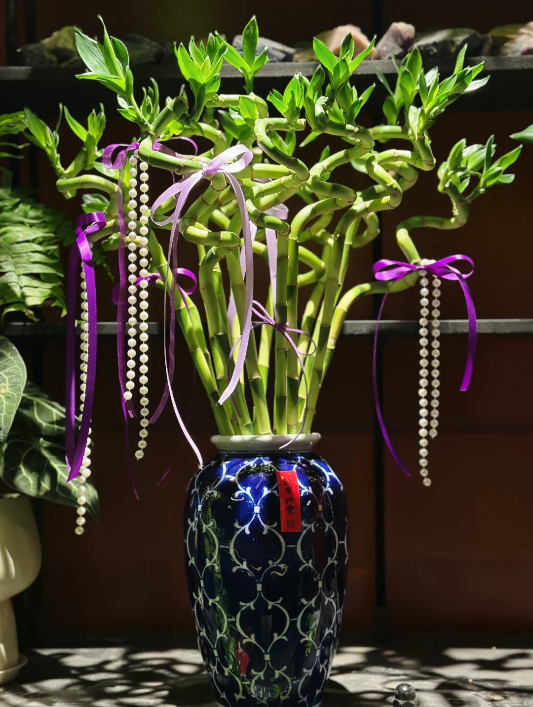 Chưng Tết đừng chỉ mua hoa: C&oacute; một loại c&acirc;y "rẻ b&egrave;o" nhưng h&uacute;t t&agrave;i lộc cực mạnh, đặt đ&uacute;ng 4 c&agrave;nh l&ecirc;n b&agrave;n học con c&aacute;i thi cử đỗ đạt, gia chủ tiền v&agrave;o như nước- Ảnh 7.