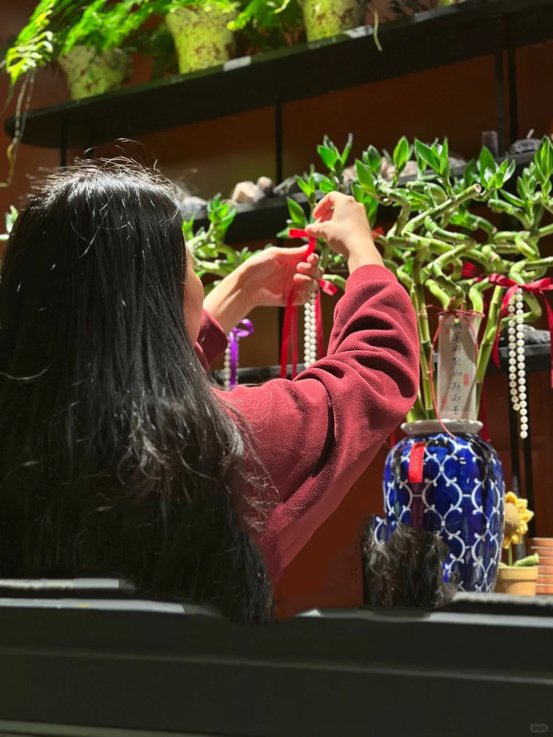 Chưng Tết đừng chỉ mua hoa: C&oacute; một loại c&acirc;y "rẻ b&egrave;o" nhưng h&uacute;t t&agrave;i lộc cực mạnh, đặt đ&uacute;ng 4 c&agrave;nh l&ecirc;n b&agrave;n học con c&aacute;i thi cử đỗ đạt, gia chủ tiền v&agrave;o như nước- Ảnh 13.