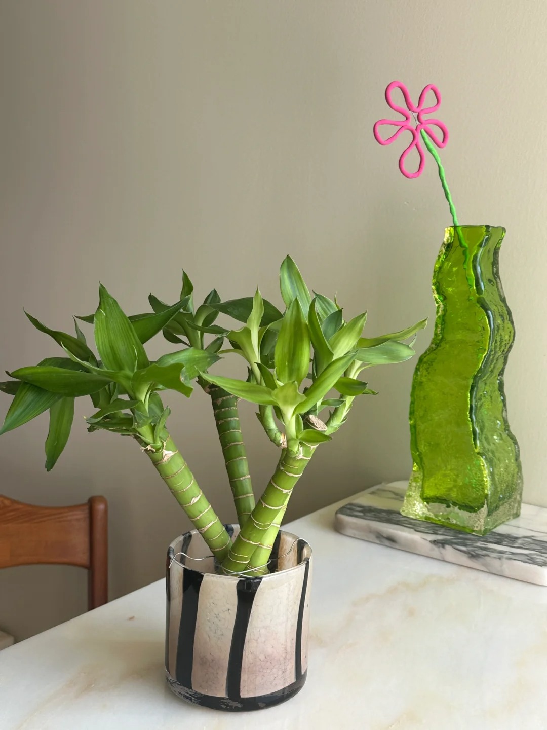 Chưng Tết đừng chỉ mua hoa: C&oacute; một loại c&acirc;y "rẻ b&egrave;o" nhưng h&uacute;t t&agrave;i lộc cực mạnh, đặt đ&uacute;ng 4 c&agrave;nh l&ecirc;n b&agrave;n học con c&aacute;i thi cử đỗ đạt, gia chủ tiền v&agrave;o như nước- Ảnh 3.