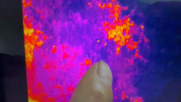 Hai đứa trẻ bỗng mất h&uacute;t sau lời rỉ tai về "ti&ecirc;n thảo": Phụ huynh nghe xong lạnh cả sống lưng- Ảnh 2.