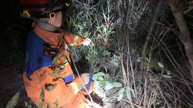 Hai đứa trẻ bỗng mất h&uacute;t sau lời rỉ tai về "ti&ecirc;n thảo": Phụ huynh nghe xong lạnh cả sống lưng- Ảnh 1.