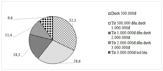 Thực trạng mua sắm trực tuyến trong thanh niên- Ảnh 4.