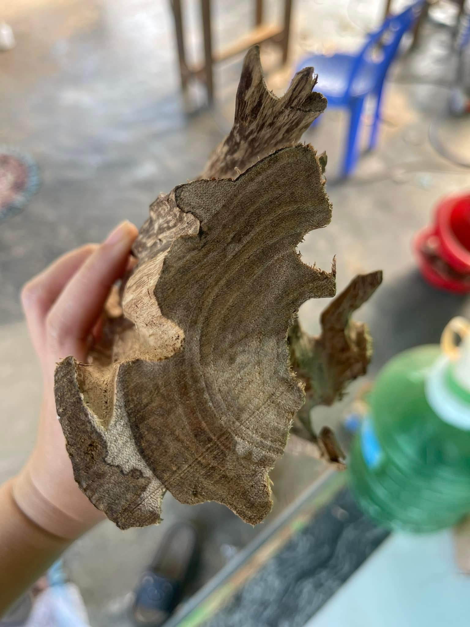 Thay vì mua vàng, chỉ cần 250k đến vài triệu là rước được "vía Thần Tài" về nhà- Ảnh 3.