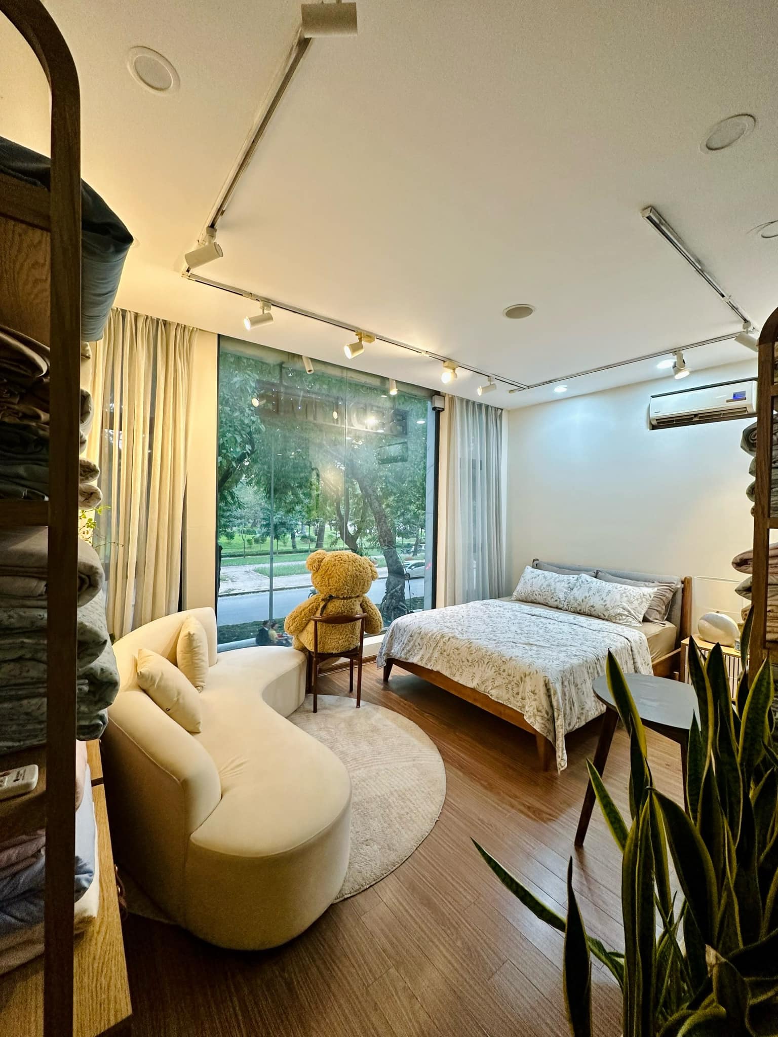 2 loại cây xuất hiện trong không gian sống của MC Mai Ngọc: Hóa ra đều là cây cảnh phong thủy nhiều người ưa chuộng- Ảnh 1. 2 loại cây xuất hiện trong không gian sống của MC Mai Ngọc: Hóa ra đều là cây cảnh phong thủy nhiều người ưa chuộng- Ảnh 1.