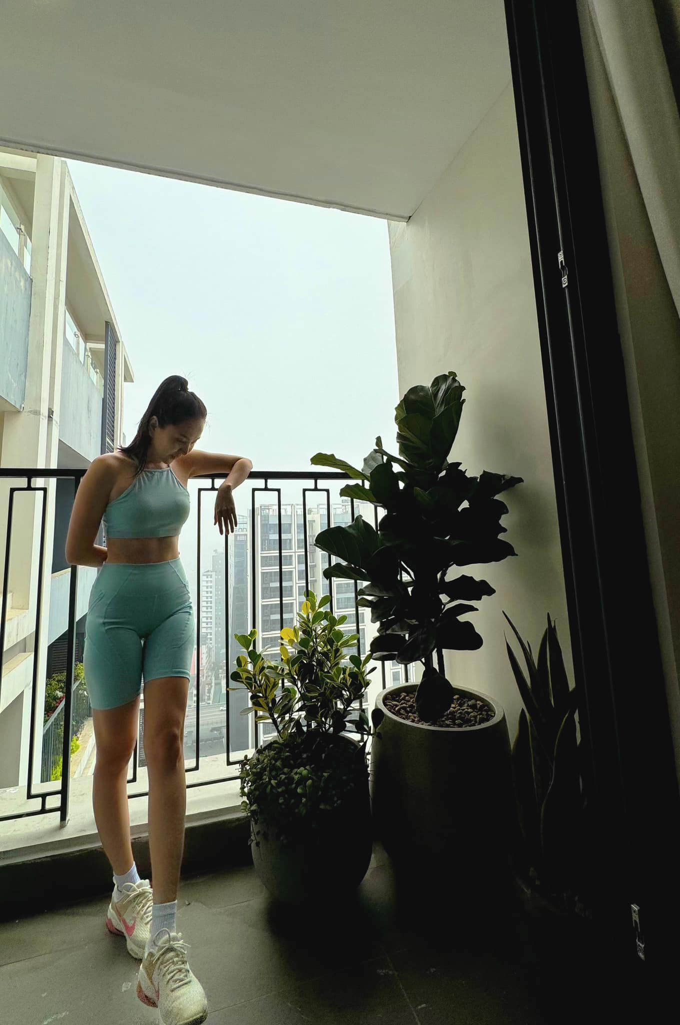 2 loại cây xuất hiện trong không gian sống của MC Mai Ngọc: Hóa ra đều là cây cảnh phong thủy nhiều người ưa chuộng- Ảnh 2. 2 loại cây xuất hiện trong không gian sống của MC Mai Ngọc: Hóa ra đều là cây cảnh phong thủy nhiều người ưa chuộng- Ảnh 2.