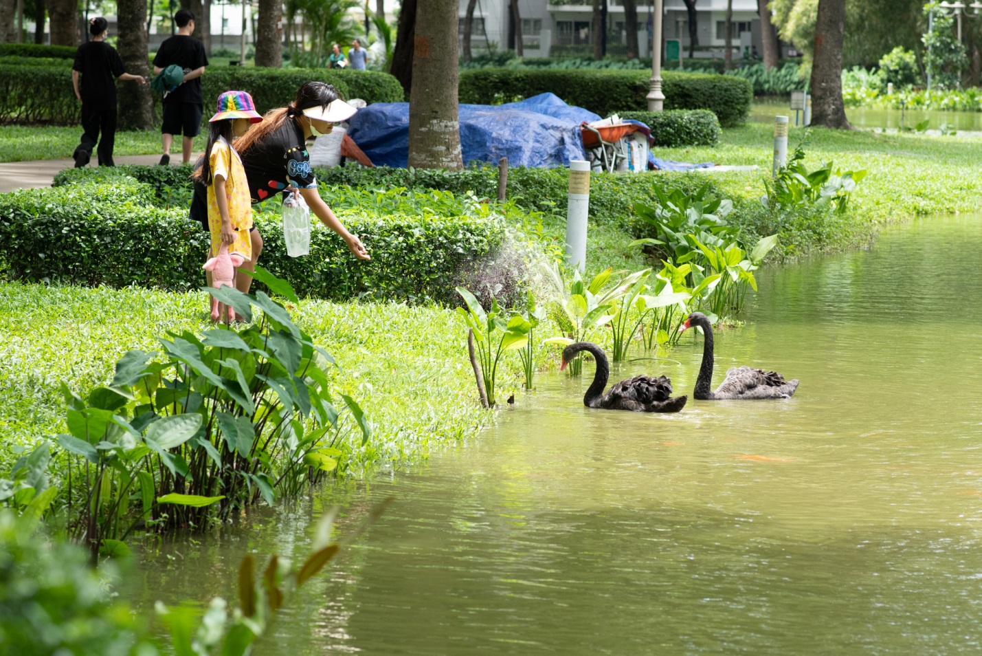 Sống chất lượng tại khu đô thị đa dạng sinh học phía Tây TPHCM- Ảnh 1. Sống chất lượng tại khu đô thị đa dạng sinh học phía Tây TPHCM- Ảnh 1.