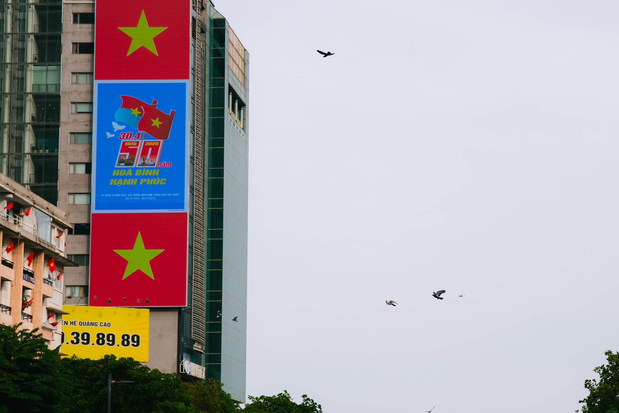 Chùm ảnh: 30/4 chưa đến, TP.HCM đã lặng lẽ khoe vẻ đẹp tự hào của tháng Tư- Ảnh 8. Chùm ảnh: 30/4 chưa đến, TP.HCM đã lặng lẽ khoe vẻ đẹp tự hào của tháng Tư- Ảnh 8.