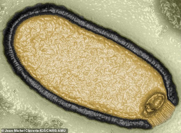 Các nhà khoa học chuẩn bị đối phó với loại virus mới có thể gây ra đại dịch tiếp theo trên toàn cầu- Ảnh 2. Các nhà khoa học chuẩn bị đối phó với loại virus mới có thể gây ra đại dịch tiếp theo trên toàn cầu- Ảnh 2.