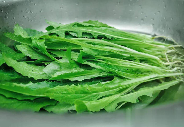 6 loại rau "không thuốc trừ sâu" tốt như nhân sâm, chợ Việt bán rất nhiều và rẻ- Ảnh 3. 6 loại rau "không thuốc trừ sâu" tốt như nhân sâm, chợ Việt bán rất nhiều và rẻ- Ảnh 3.