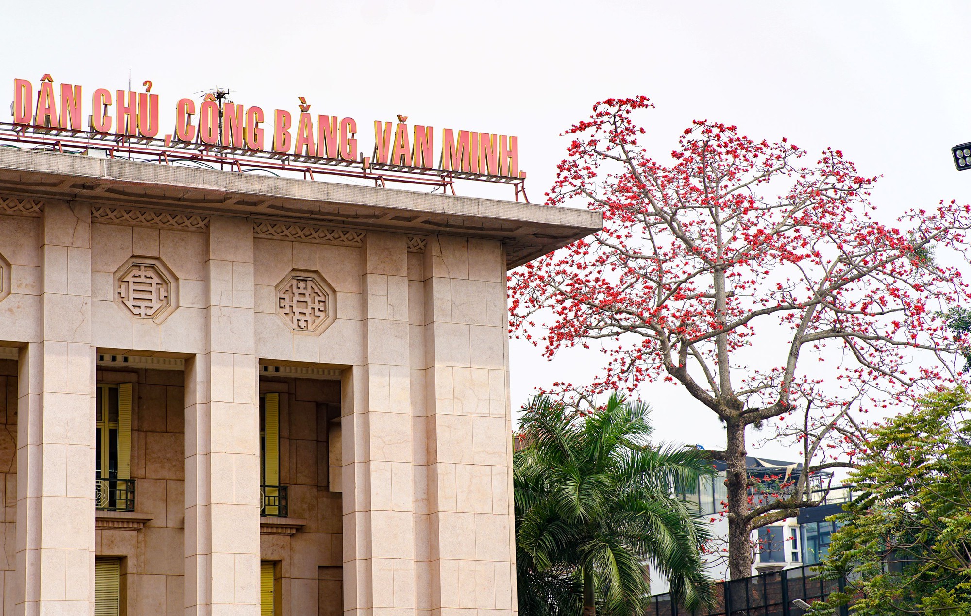 Mùa mộc miên thắp lửa gọi hè về- Ảnh 8. Mùa mộc miên thắp lửa gọi hè về- Ảnh 8.