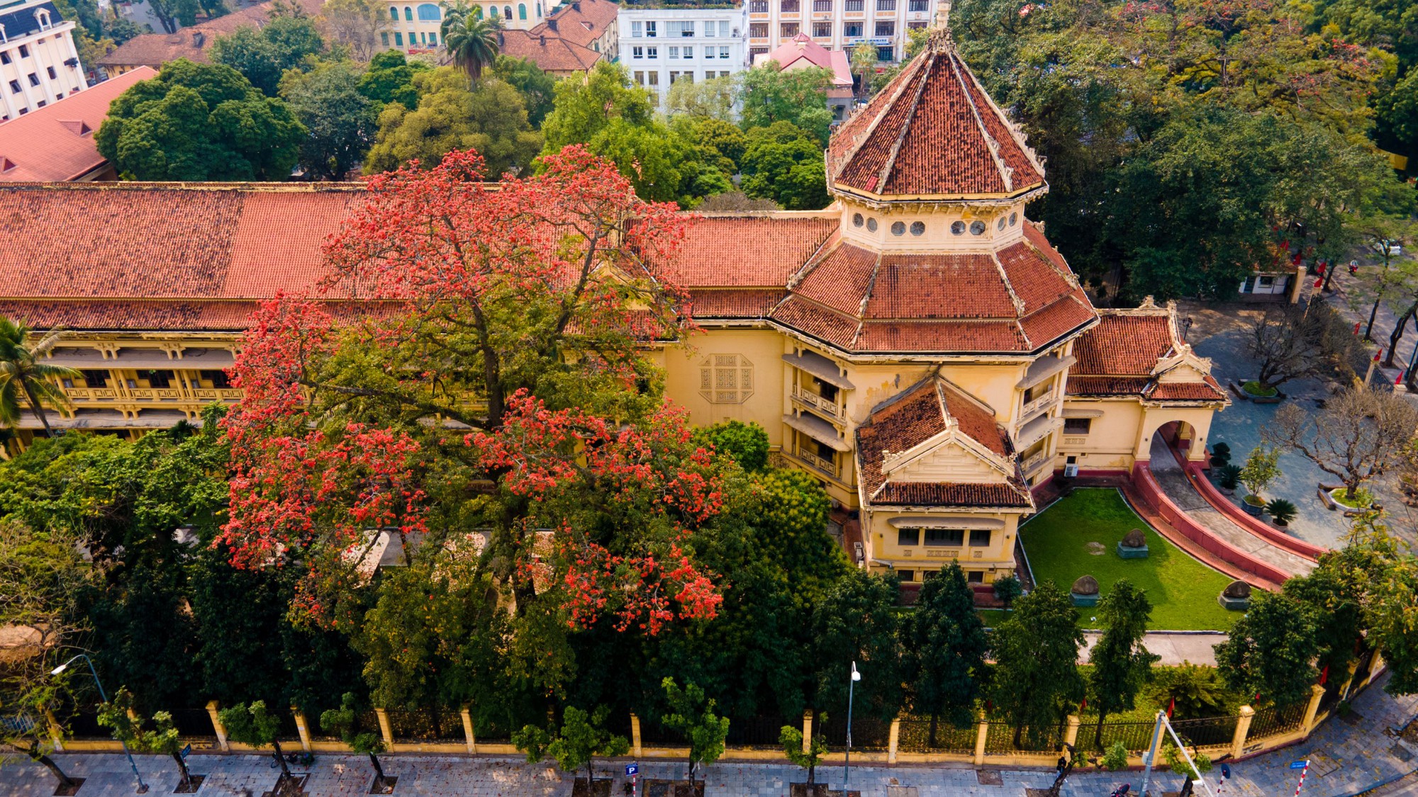 Mùa mộc miên thắp lửa gọi hè về- Ảnh 5. Mùa mộc miên thắp lửa gọi hè về- Ảnh 5.