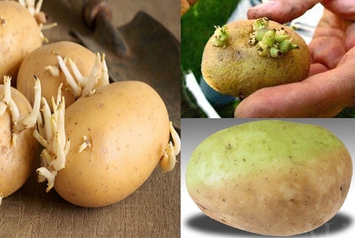 Nhìn thấy túi khoai tây con dâu mang về biếu, mẹ chồng vứt luôn vào thùng rác và dạy cho bài học "sáng mắt"- Ảnh 3. Nhìn thấy túi khoai tây con dâu mang về biếu, mẹ chồng vứt luôn vào thùng rác và dạy cho bài học "sáng mắt"- Ảnh 3.