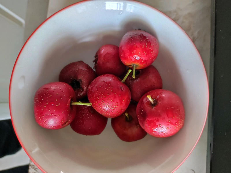 1 quả táo, 4 cách chế biến: Dễ làm, đều đặn uống có thể giúp dưỡng gan, bổ khí huyết, đẹp da và điều hòa tỳ vị- Ảnh 3. 1 quả táo, 4 cách chế biến: Dễ làm, đều đặn uống có thể giúp dưỡng gan, bổ khí huyết, đẹp da và điều hòa tỳ vị- Ảnh 3.