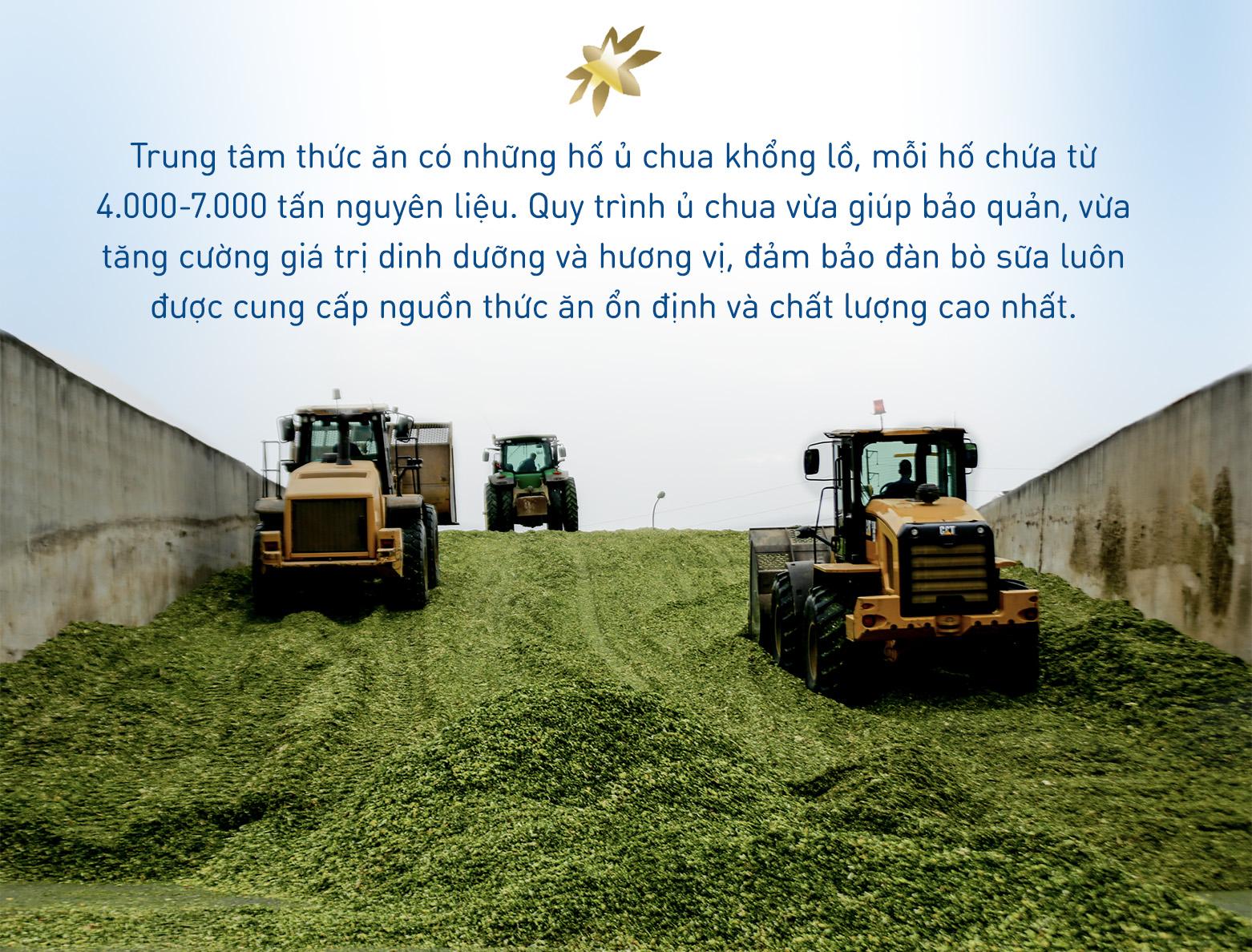 Khám phá bữa ăn với hàng chục nguyên liệu khoái khẩu của bò sữa TH true MILK- Ảnh 2. Khám phá bữa ăn với hàng chục nguyên liệu khoái khẩu của bò sữa TH true MILK- Ảnh 2.