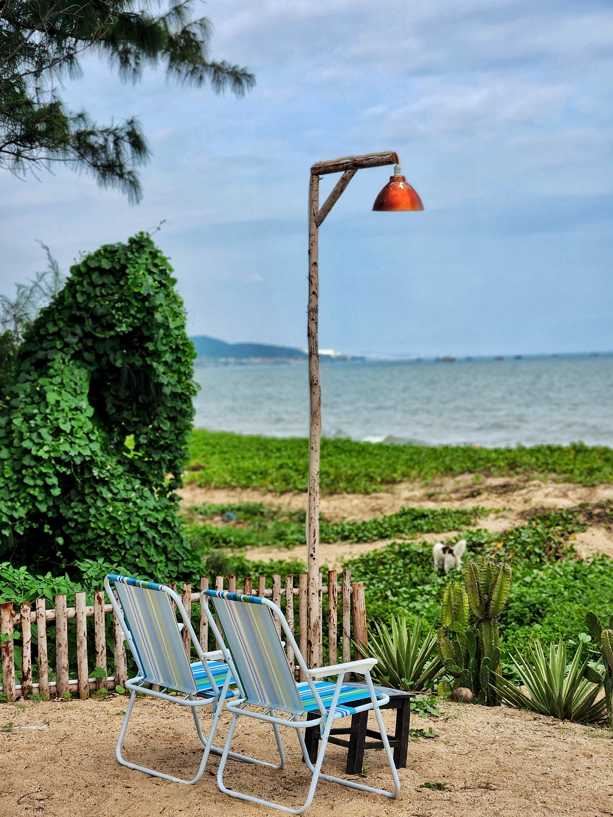 Vợ chồng trẻ từ bỏ lương cố định, rời phố về Phan Thiết: Sống chậm bên biển, tự quản lý tài chính, vất vả nhưng đáng- Ảnh 9. Vợ chồng trẻ từ bỏ lương cố định, rời phố về Phan Thiết: Sống chậm bên biển, tự quản lý tài chính, vất vả nhưng đáng- Ảnh 9.